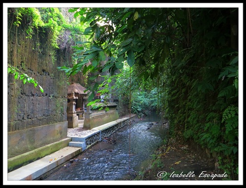 06 Août 2014 - Ubud... les rizières toujours trop belles...