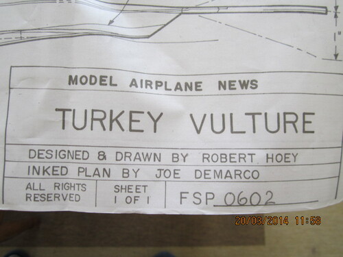 Turkey Vulture ?