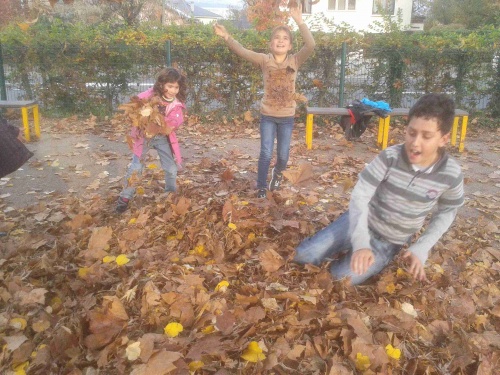 7 novembre 2011 Les feuilles se décident à tomber