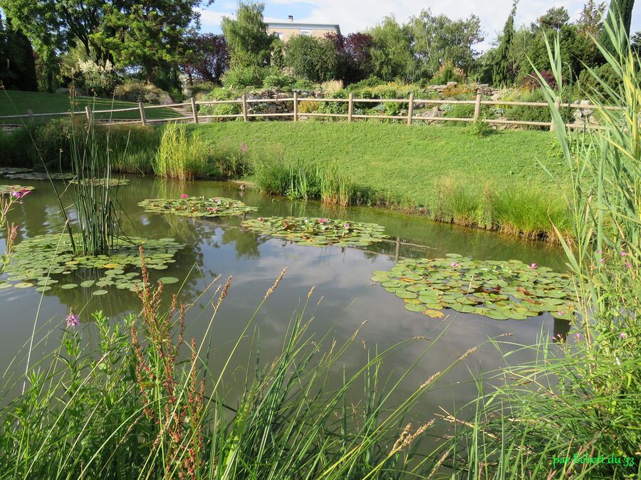 le parc à Chalon 