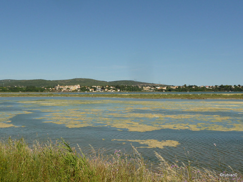 Ballaruc le vieux