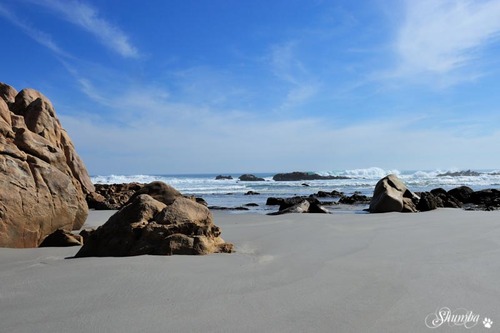 Atlantic Coast, Namaqua NP