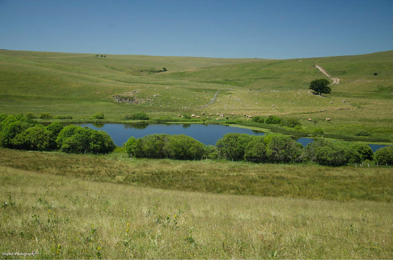 Lac de Born 