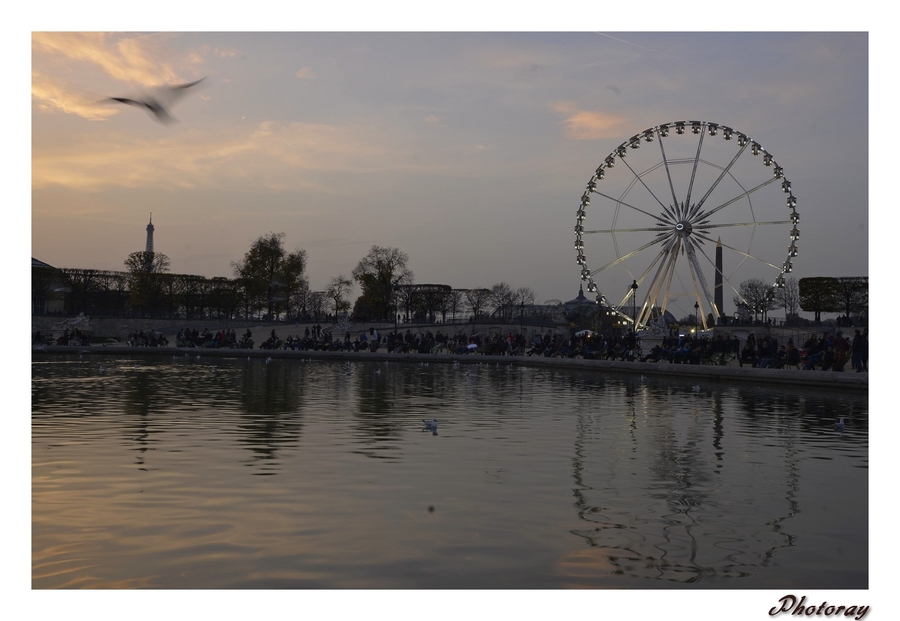 Paris -Paris - Île de France - 23 Novembre 2014 - la Grande Roue de la Concorde