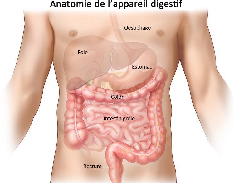 maladie de crohn rencontre