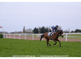 Courses hippiques à Machecoul le 3 février 2013