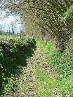 Les circuits de la Calonne et de Barville réunis