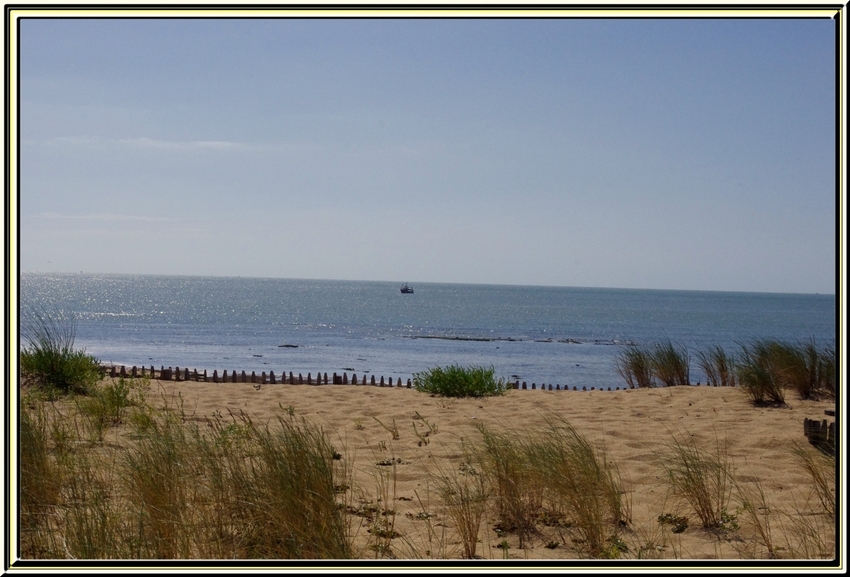 Au mois de septembre 2013 une balade à la cotinière (île d'oléron)