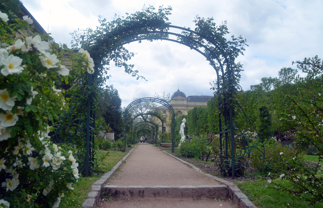 Promenade au Jardin des plantes de Paris