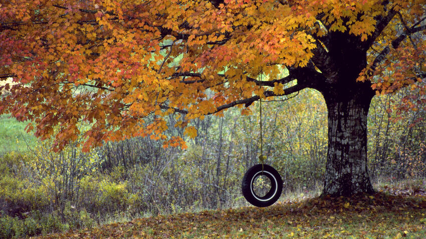 5 images d'automne