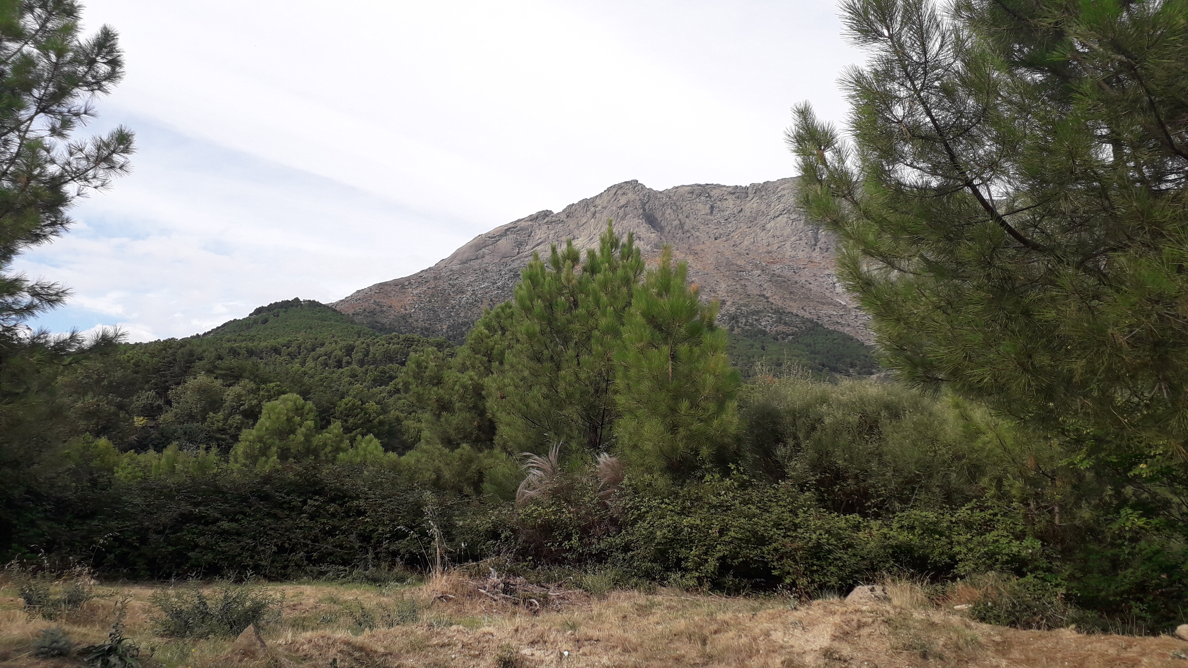 Bivouac Villarejo Del Valle