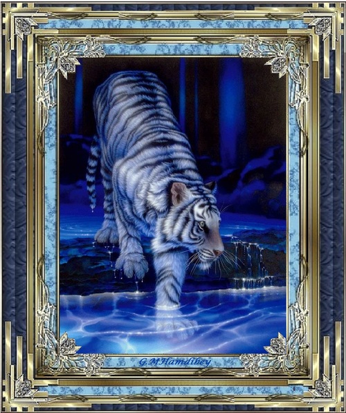 Mohan : Le Tigre Blanc Royal