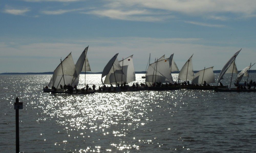 Voiles en liberté 2024 à Andernos - Le départ des pinassottes...