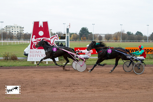 Prix des Vignes (Gr A)