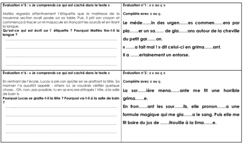Les mini évaluations en français CE2 n°3
