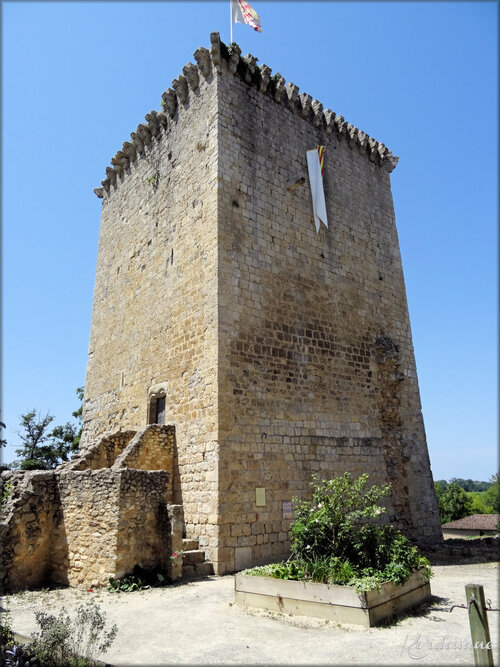 Photo de la Citadelle médiévale de Rions - Gironde