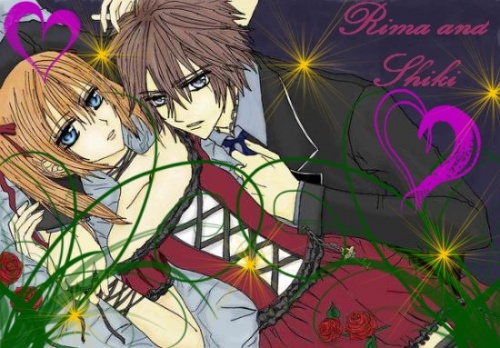 Quele est votre couple préféré de Vampire Knight?