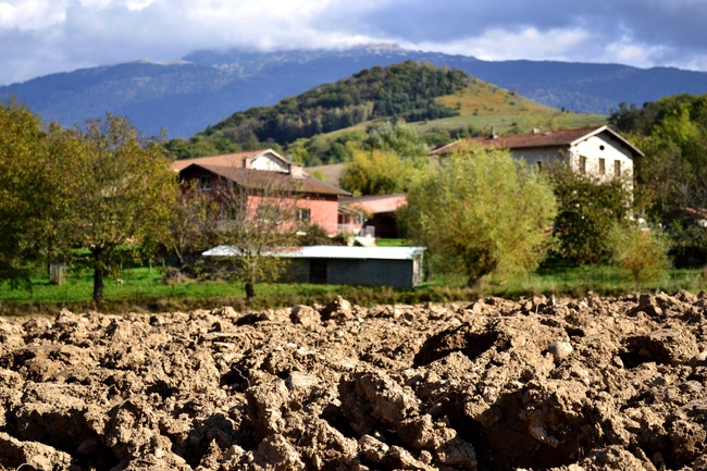 2014.10.21 Haute-Jarrie (Isère, Rhône-Alpes)