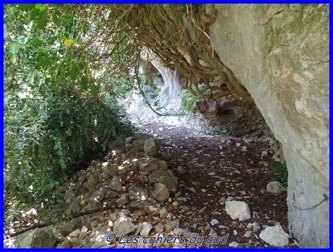 La combe de Curnier, combe de Bouisse