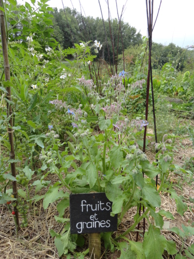 Blog de melimelodesptitsblanpain : Méli Mélo des p'tits Blanpain!, Visite et balade: Découvrez Le jardin Bourian!