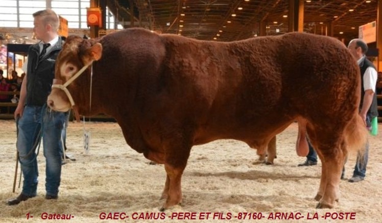 Salon de l'Agriculture 2015. La Journée Limousine, un rendez-vous de limousin