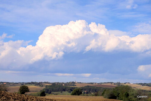 Ciel et labours en automne