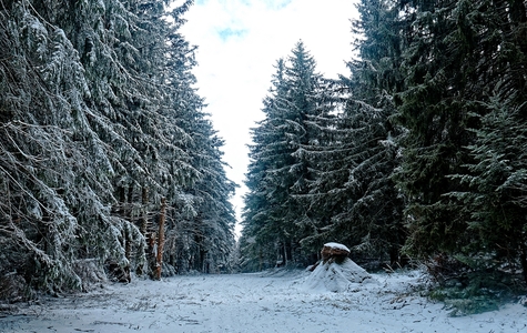 Séjour Super-Besse du 13 au 20 janvier 2019