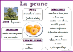 Fiches de vocabulaire sur les fruits