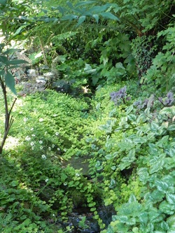Un jardin à Landrevarzec