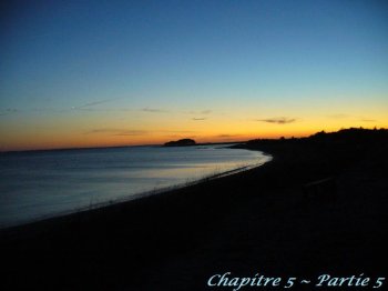 Ces malheurs qui nous unissent (chapitre 5 - partie 5)