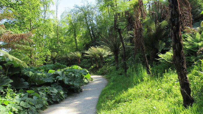Jardin Botanique de Brest 11 avril 2024 (suite)