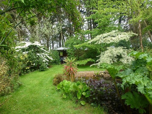 Mai dans mon jardin