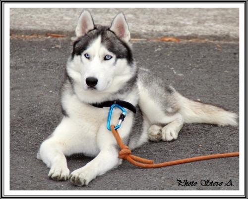 Ilouky (2 ans)
