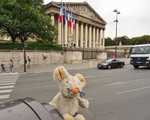 Ma médaille! ... Où est ma médaille?