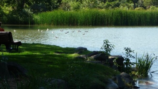 Jardin-botanique--87-.JPG