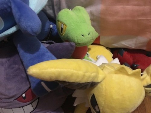 Mes peluches Pokémon de la mort