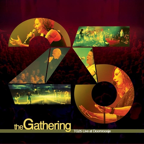 THE GATHERING_TG25 - Live At Doornroosje
