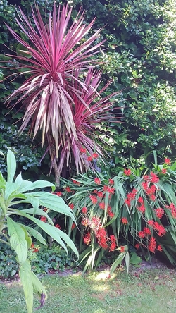 Un jardin au bord de l'eau  