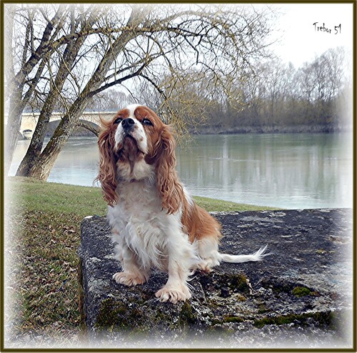 Balade le long de la Seine .....