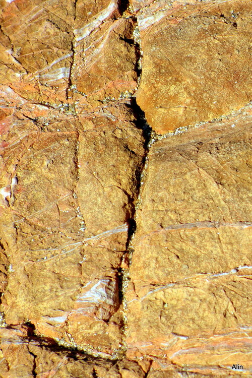 Surface colorée de rochers