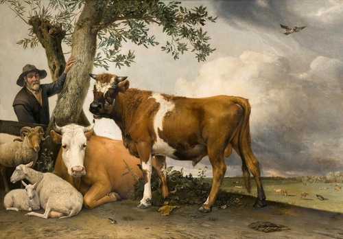 06 - Autres vaches en peinture