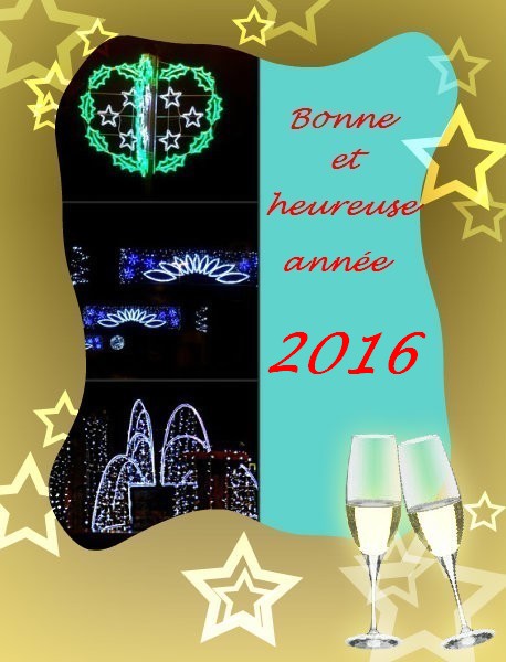 Bonne et heureuse année à tous mes lecteurs !