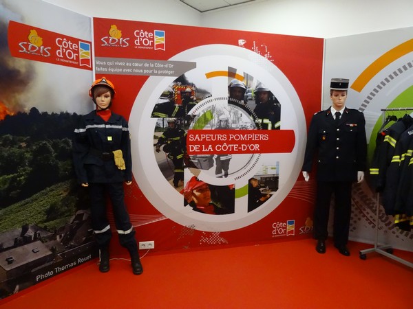 Quelques images de la foire gastronomique de Dijon 2015....