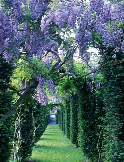 Jardin du chateau de la Ballue