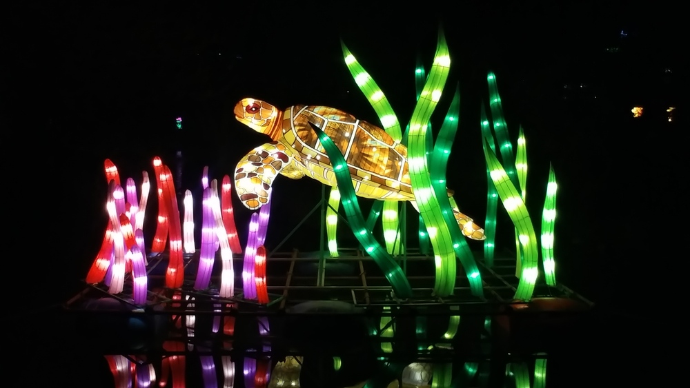 China Light Festival @ Kölner Zoo 2018