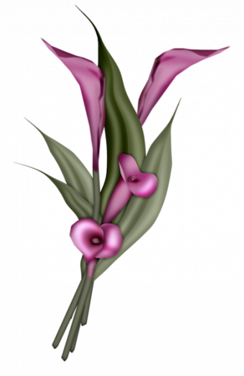Les belles fleurs de Joëlle. (lyonnaise69-Centerblog)