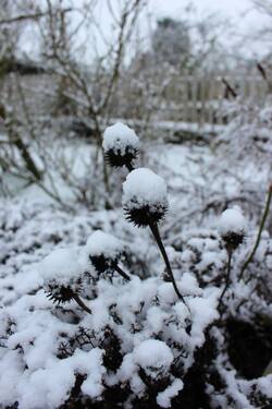 Le jardin de Sophie : Notre Jardin Secret