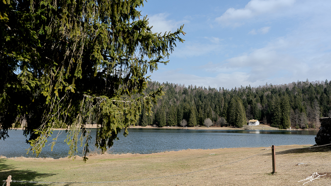 Pas de  gêne au lac Génin