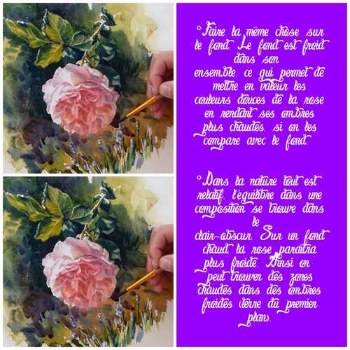 Dessin et peinture - vidéo 3424 : Comment peindre une rose, étape par étape 1/2 - aquarelle