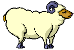 Résultat de recherche d'images pour "mouton gif animé"